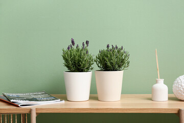 Pots with lavender and decor on dresser against green background