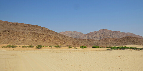 Arid Namibian Landscape with Rocky Terrain, scarce vegetation and Mountain Backdrop