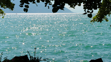 water splash and stars in the lake