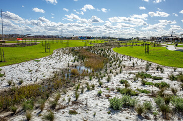 Newly planted stormwater management reserve in an Australian suburban estate--themes of sustainable...