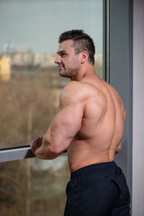 Fitness model