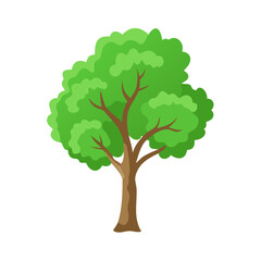 Tree: The Natural Giant and Oxygen Provider