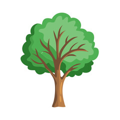 Tree: The Natural Giant and Oxygen Provider
