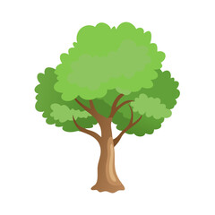 Tree: The Natural Giant and Oxygen Provider