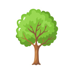 Tree: The Natural Giant and Oxygen Provider