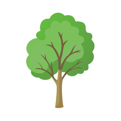 Tree: The Natural Giant and Oxygen Provider