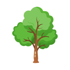 Tree: The Natural Giant and Oxygen Provider