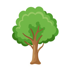 Tree: The Natural Giant and Oxygen Provider