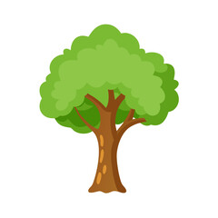 Tree: The Natural Giant and Oxygen Provider