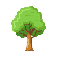 Tree: The Natural Giant and Oxygen Provider