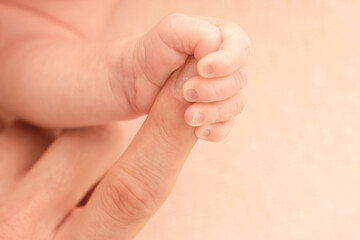 Little hand of newborn baby holds parent's finger, light close-up photo. family concept