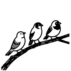 Three birds perched on a branch, black and white vector illustration.