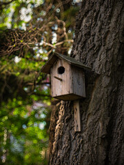 wooden bird house