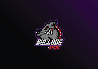 illustration bulldog angry esport logo for team squad