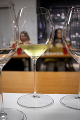 Wine glasses containing white wine during a tasting session