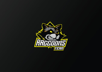 illustration racoon esport logo for team squad