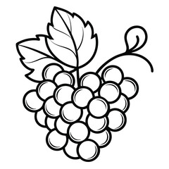 Minimalist Grape Vine Line Art Illustration.