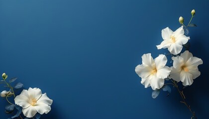 A delicate arrangement of white flowers set against a soft blue background, creating a minimalist and elegant composition. Perfect for backgrounds, greeting cards, and web design.