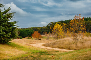 Fototapeta premium Mayfield Garden is a botanical garden located in Oberon, Central Plateau region of New South Wales, Australia. 