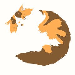 Minimalist Sleeping Fluffy Cat Vector - Curled Long-Haired Pet Illustration