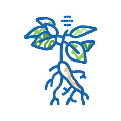 ginseng plant icon doodle illustration