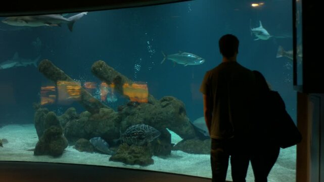 Couple Watching Aquarium