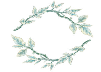 Pedilanthus branches frame. Watercolor clipart illustration of round composition on white background. For invitations, postcards, business cards. Decorating clothes, dishes, other printed materials