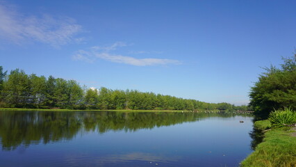Obraz premium Just a pond near Trisik beach, but the scenery was so beautiful and relaxing. The sky was clean blue and that water was like a huge mirror. 