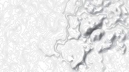 topography white background and black line wireframe isoline location diagram world map texture design .