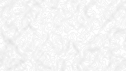 topography white background and black line wireframe isoline location diagram world map texture design .