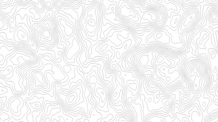 topography white background and black line wireframe isoline location diagram world map texture design .