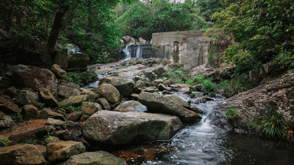 Serene Waterfall Flowing Over Rocks in a Lush Green Forest Scene