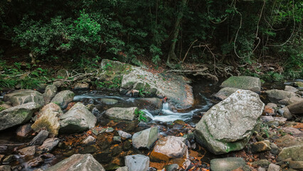 Serene Forest Stream Flowing Over Rocks Amidst Lush Greenery