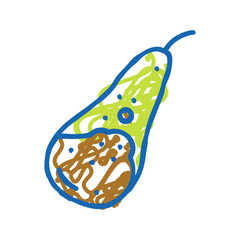 pear conference whole icon doodle illustration