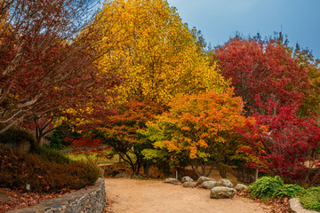 Naklejka premium Mayfield Garden is a botanical garden located in Oberon, Central Plateau region of New South Wales, Australia. 