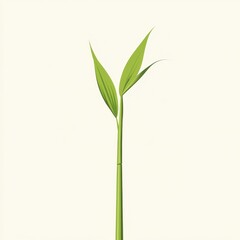 Obraz premium Vibrant Green Sprout with Two Leaves Against White Background