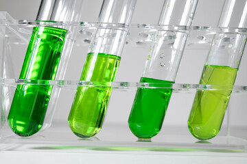 green chemistry beaker and test tube