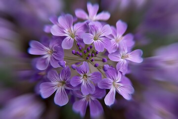 Muted purple floral circle arrangement soft  
