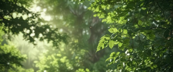 Fototapeta premium Dreamy, out-of-focus scene; soft light filters through leaves, creating a blurred green background , green, glow