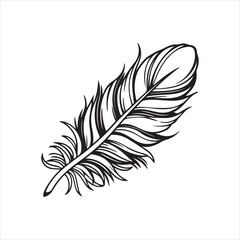 Obraz premium Fluffy Feather Silhouette Clipart | Soft Feather Outline on White Background