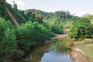 Obraz premium Scenic view of a lush green forest with a river flowing through it. Prao, Vietnam.