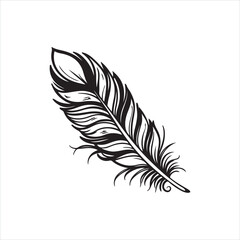 Obraz premium Fluffy Feather Silhouette Clipart | Soft Feather Outline on White Background