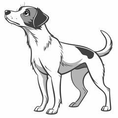Jack Russell Terrier Puppy Standing Upright And Looking Upward Vector Illustration