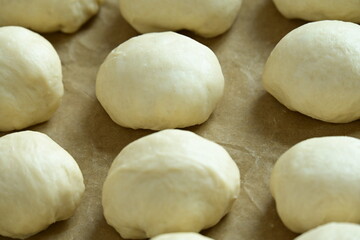 yeast raw dough in section