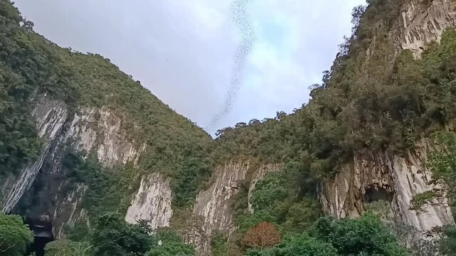 Bat Exodus from Mulu Caves Against Dramatic Evening Sky in Borneo