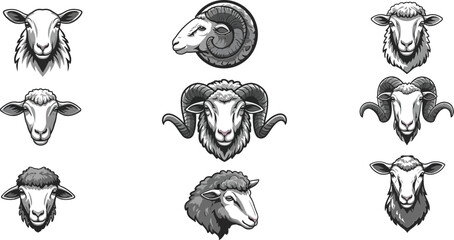 Set of ram heads with different horn shapes and fur styles in grayscale vector illustration for animal design and farming themes