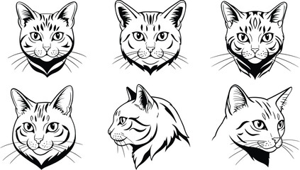 Obraz premium Cat faces with different expressions and angles in black and white vector line art illustration 