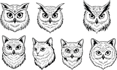 Owl head sketches with detailed feathers and expressive eyes in black and white vector illustration 