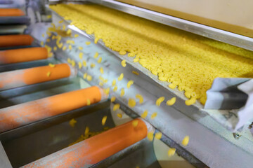 Pasta gracefully gliding along the conveyor belt in a bustling production facility during the...