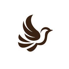 Professional Bird Logo Design Concepts